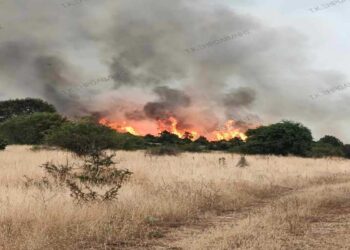 Πύρινα μέτωπα γύρω από την Κοζάνη το Σαββατοκύριακο- Ανησύχησαν Πετρανά και Ξηρολίμνη