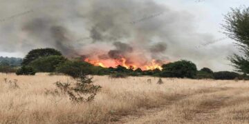 Πύρινα μέτωπα γύρω από την Κοζάνη το Σαββατοκύριακο- Ανησύχησαν Πετρανά και Ξηρολίμνη