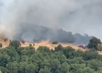 Δασική πυρκαγιά στην περιοχή Σκλήθρο