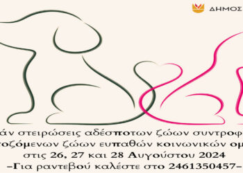 Κοζάνη: Δωρεάν στειρώσεις αδέσποτων ζώων συντροφιάς και δεσποζόμενων ζώων ευπαθών κοινωνικών ομάδων