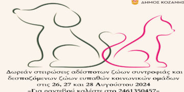 Κοζάνη: Δωρεάν στειρώσεις αδέσποτων ζώων συντροφιάς και δεσποζόμενων ζώων ευπαθών κοινωνικών ομάδων