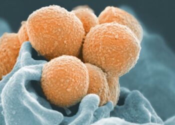 Στρεπτόκοκκος: Τι πρέπει να προσέχουν οι γονείς για παιδιά έως 12 ετών