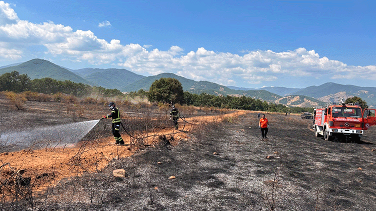 Συνεργασία δυνάμεων για την κατάσβεση φωτιάς ανάμεσα στις κοινότητες Υδρούσσας και Άνω Υδρούσσας.