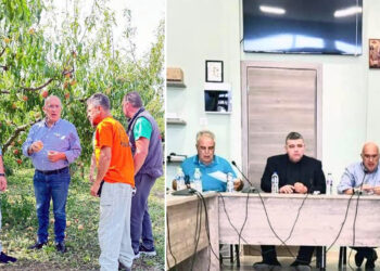 Παρέμβαση Μ. Παπαδόπουλου για άμεσες αποζημιώσεις σε Βελβεντό – Πλατανόρρευμα – Ίμερα