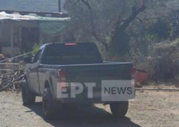 Ρέθυμνο: «Φώναζα και μου έκοψαν τη γλώσσα» είπε ο κτηνοτρόφος – Ο «σασμός» που δεν έγινε ποτέ, τι εξετάζει η ΕΛΑΣ