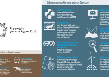 Σε συμμαχία για την άγρια ζωή 11 περιβαλλοντικές οργανώσεις