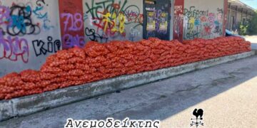 Το…  έπος της πατατειάδας της Κοζάνης! – Από τη στήλη ΑΝΕΜΟΔΕΙΚΤΗΣ (24/9)