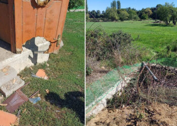 Αρκούδα εισέβαλε σε αυλή οικίας στη Φλώρινα (ΦΩΤΟΓΡΑΦΙΕΣ)