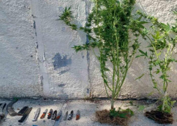 Συνέλαβαν 3 άτομα σε Πτολεμαΐδα και Φλώρινα – Κατέσχεσαν 11 μαχαίρια και ναρκωτικά