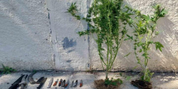 Συνέλαβαν 3 άτομα σε Πτολεμαΐδα και Φλώρινα – Κατέσχεσαν 11 μαχαίρια και ναρκωτικά