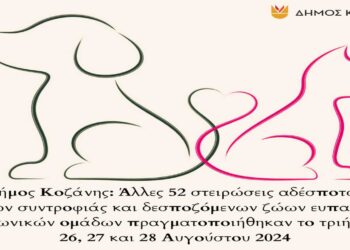 Δήμος Κοζάνης: Άλλες 52 στειρώσεις αδέσποτων και δεσποζόμενων ζώων συντροφιάς πραγματοποιήθηκαν το τριήμερο 26-28/8