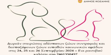 Δήμος Κοζάνης: Δωρεάν στειρώσεις αδέσποτων και δεσποζόμενων ζώων ευπαθών κοινωνικών ομάδων από 24 έως 26/9