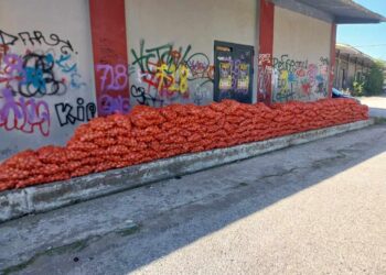 Πανηγύρια στη δημοτική αρχή για την Μαυρογιαλούρικη διανομή πατάτας- Για «ύβρι» στους φορείς και τις υπηρεσίες κάνει λόγο η «ΕΝΟΤΗΤΑ»