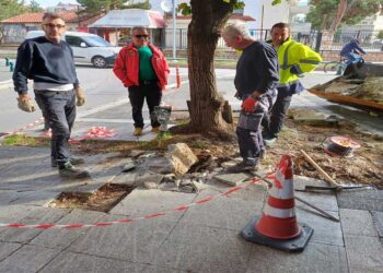 Επιτέλους έγινε παρέμβαση στο πεζοδρόμιο στην Παυλίδη Αδαμοπούλου – Δεν θα σκοντάφτουμε στις ρίζες του δέντρου