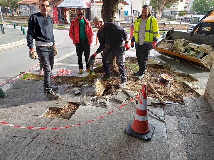 Επιτέλους έγινε παρέμβαση στο πεζοδρόμιο στην Παυλίδη Αδαμοπούλου - Δεν θα σκοντάφτουμε στις ρίζες των δέντρων