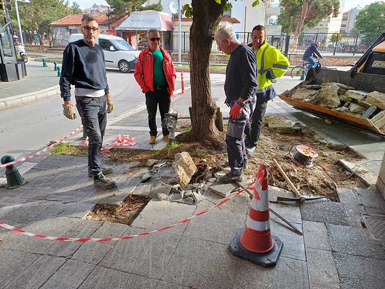 Επιτέλους έγινε παρέμβαση στο πεζοδρόμιο στην Παυλίδη Αδαμοπούλου - Δεν θα σκοντάφτουμε στις ρίζες των δέντρων