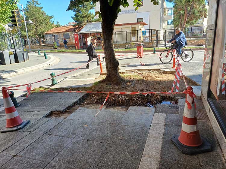 Επιτέλους έγινε παρέμβαση στο πεζοδρόμιο στην Παυλίδη Αδαμοπούλου - Δεν θα σκοντάφτουμε στις ρίζες των δέντρων