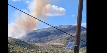 Φωτιά σε δασική περιοχή στη Βλάστη Εορδαίας