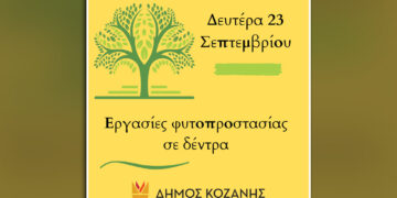 Δήμος Κοζάνης: Κλείστε παράθυρα και πόρτες – Θα γίνουν ψεκασμοί στα δέντρα
