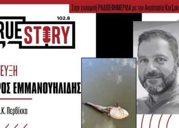 Ιστορικά χαμηλά επίπεδα για την στάθμη της λίμνης Περδίκκα – Τι συμβαίνει με τα εκατοντάδες νεκρά ψάρια