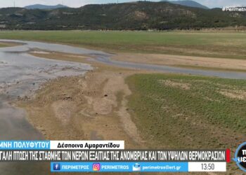 Υποχωρεί σημαντικά η στάθμη του νερού στην λίμνη Πολυφύτου – Ο άλλοτε βυθός έχει μετατραπεί σε έναν απέραντο βοσκότοπο