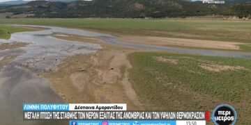 Υποχωρεί σημαντικά η στάθμη του νερού στην λίμνη Πολυφύτου – Ο άλλοτε βυθός έχει μετατραπεί σε έναν απέραντο βοσκότοπο