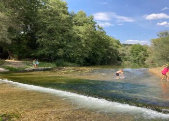 Οικολογική Κίνηση Κοζάνης:  Ένα μπράβο στους διοργανωτές και εθελοντές των διήμερων εκδηλώσεων για το δάσος