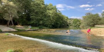 Οικολογική Κίνηση Κοζάνης:  Ένα μπράβο στους διοργανωτές και εθελοντές των διήμερων εκδηλώσεων για το δάσος