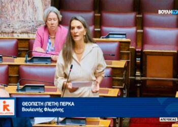 Πέτη Πέρκα: «Η φοροδιαφυγή και η φοροαποφυγή διευρύνει τις ανισότητες και στερεί έσοδα ζωτικής σημασίας από το κοινωνικό κράτος και από τις υποδομές»