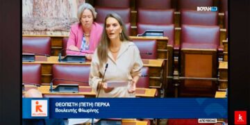 Πέτη Πέρκα: «Η φοροδιαφυγή και η φοροαποφυγή διευρύνει τις ανισότητες και στερεί έσοδα ζωτικής σημασίας από το κοινωνικό κράτος και από τις υποδομές»   