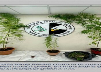 Συνελήφθη 61χρονος για καλλιέργεια 4 δενδρυλλίων κάνναβης και κατοχή ναρκωτικών στην Καστοριά