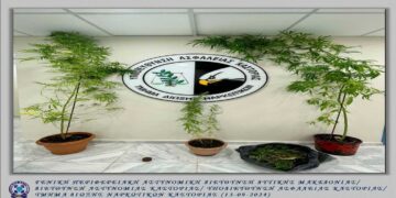Συνελήφθη 61χρονος για καλλιέργεια 4 δενδρυλλίων κάνναβης και κατοχή ναρκωτικών στην Καστοριά