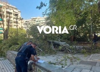 Θεσσαλονίκη: Δέντρο έπεσε πάνω σε άνδρα που καθόταν σε παγκάκι