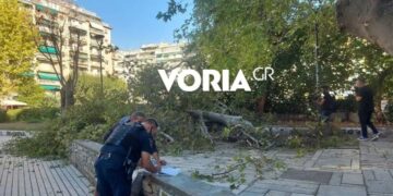 Θεσσαλονίκη: Δέντρο έπεσε πάνω σε άνδρα που καθόταν σε παγκάκι