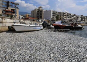 Βόλος: Σε ποιες παραλίες απαγορεύθηκε η κολύμβηση