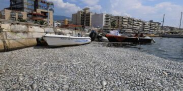 Βόλος: Σε ποιες παραλίες απαγορεύθηκε η κολύμβηση