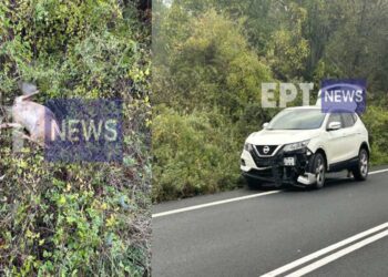 Καστοριά: Τροχαίο ατύχημα με νεκρό ζαρκάδι έξω από τους Αμπελόκηπους