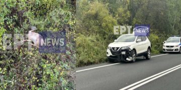 Καστοριά: Τροχαίο ατύχημα με νεκρό ζαρκάδι έξω από τους Αμπελόκηπους