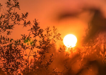 Αύγουστος 2024: Ο πιο θερμός και στη Βόρεια Ελλάδα