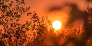 Αύγουστος 2024: Ο πιο θερμός και στη Βόρεια Ελλάδα