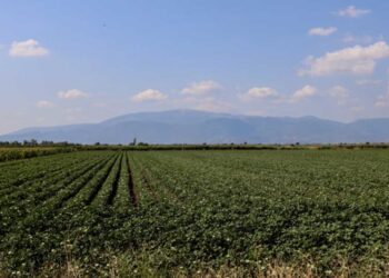 Λογαριασμοί ρεύματος: Τέλος τα εξάμηνα συμβόλαια, τι ισχύει με το πράσινο τιμολόγιο