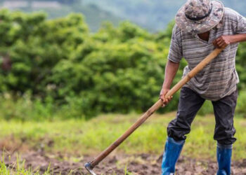 ΟΠΕΚΕΠΕ: Σφάλμα για χιλιάδες δικαιούχους – Ο Τσιάρας διαβεβαιώνει ότι οι ενισχύσεις θα καταβληθούν κανονικά
