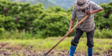ΟΠΕΚΕΠΕ: Σφάλμα για χιλιάδες δικαιούχους – Ο Τσιάρας διαβεβαιώνει ότι οι ενισχύσεις θα καταβληθούν κανονικά