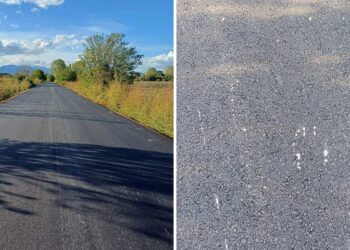 Ασφαλτοστρώθηκε ο δρόμος Ασβεστόπετρας – Άρδασσας – Τον …εγκαινίασε αρκούδα με τα αρκουδάκια της