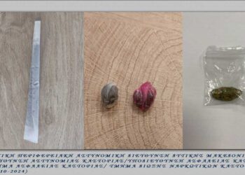 10 συλλήψεις και κατασχέσεις κάνναβης, MDMA, μαχαιριών και σιδερογροθιάς το τελευταίο 20ήμερο στη Δυτική Μακεδονία