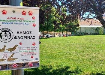 Φλώρινα: Τοποθέτησαν φαρασάκια μιας χρήσης για κηδεμόνες σκύλων