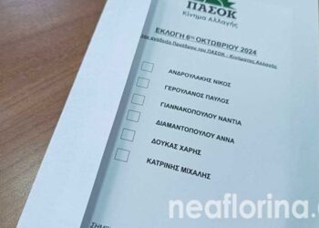 Πρωτιά Ανδρουλάκη στην Π.Ε. Φλώρινας – Αναλυτικά τα αποτελέσματα των εκλογών στο ΠΑΣΟΚ
