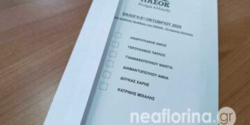 Πρωτιά Ανδρουλάκη στην Π.Ε. Φλώρινας – Αναλυτικά τα αποτελέσματα των εκλογών στο ΠΑΣΟΚ