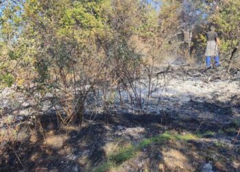 Κατασβέστηκε φωτιά σε δασική έκταση κοντά στο Παλαιογράτσανο Βελβεντού