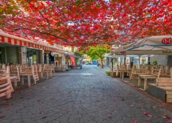 «Φθινοπωρινή Κοζάνη»- Η νέα viral φωτογραφία του Αργύρη Καραμούζα